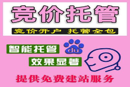 竞价广告效果评估：XX公司如何实现高转化率
